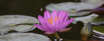 Ogólnopolski Dzień Trzeźwości w Radomsku z klubem „Szansa”